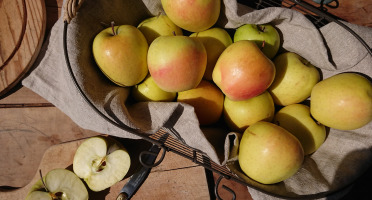 Le Verger de Crigne - Colis 4kg Pommes Golden Bio