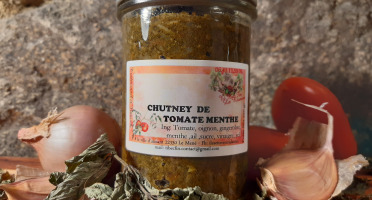 Gourmandises Créoles - Chutney de Tomate Menthe - Force et fraicheur pour l'apéro