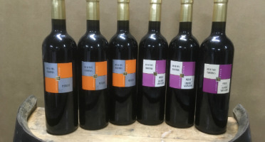 Vignobles du Sourdour - Nos Vins IGP Charentais - Lot de 6 Bouteilles