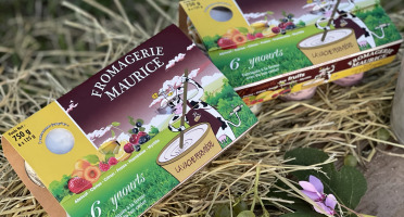 Fromagerie Maurice - Yaourt aux Fruits x12