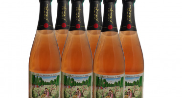 Champagne J. Martin et Fille - Cuvée des Amoureux de Peynet Brut Rosé - 6x75cl