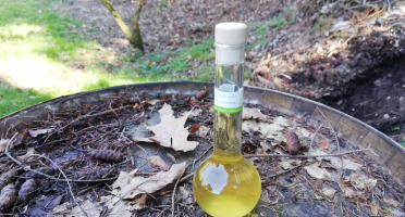 Vinaigres de la Carrière - Vinaigre de Cidre à la Verveine bio - 200 ml