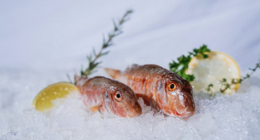 Côté Fish - Mon poisson direct pêcheurs - Rouget