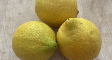 Le Potager de Sainte-Hélène - Citron primofiori bio de Sicile x 3