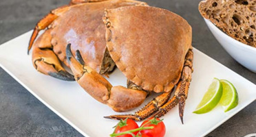 Ô'Poisson - Tourteau Cuit (crabe) - Pièce De 800g/1kg - Coupé En Deux