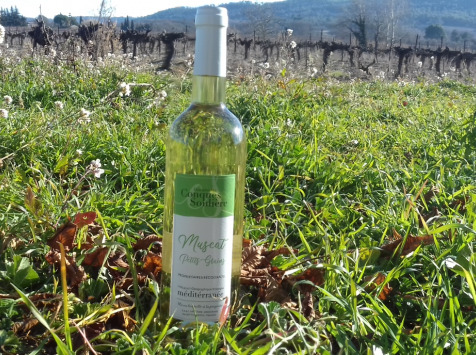 Domaine Les Conques Soulière - Vin Blanc Muscat Petits Grains IGP Méditerranée 3x75cl