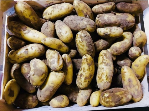 Maison Argentain - Pommes De Terre Charlotte - 1kg