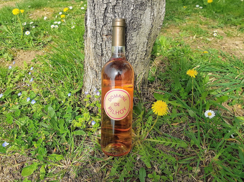 Domaine de Pilhoy - Vin Rosé AOC Bordeaux - 75cl