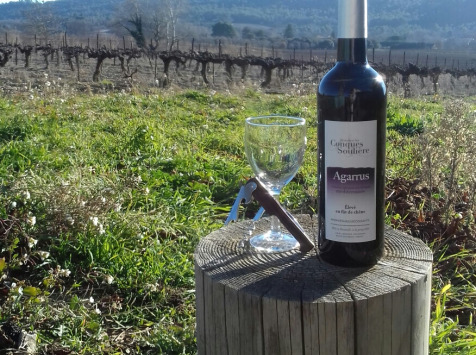 Domaine Les Conques Soulière - foire aux vins Agarrus Vin Rouge élevé en Fût de Chêne IGP Méditerranée 3x75cl