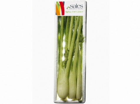 Maison Sales - Végétaux d'Art Culinaire - -4- Mini Fenouil - 6 Pièces Minimum