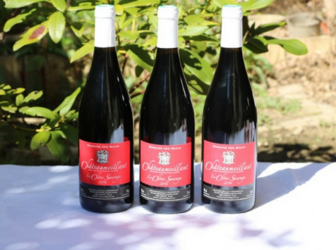 Domaine des Mazis - AOC Châteaumeillant - Vin Rouge - le Chêne Sauvage 2016 - 3x75 cl