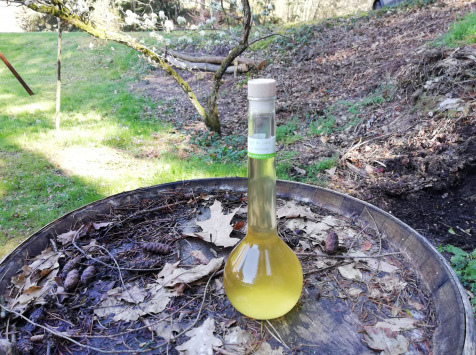 Vinaigres de la Carrière - Vinaigre de Cidre à la Verveine bio - 500 ml