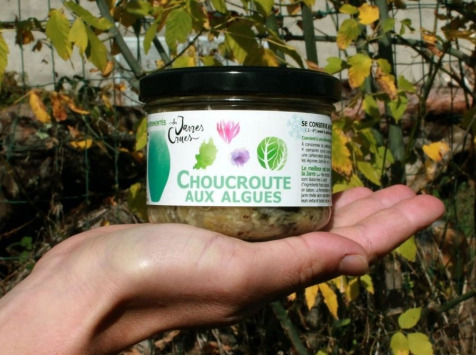 Les Jarres Crues - Choucroute aux Algues BIO Lacto-Fermentée - 220 g