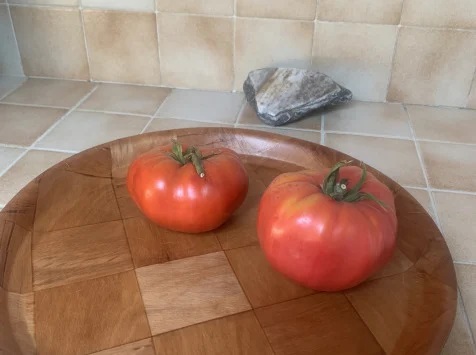 Ferme Cadillon - Tomates charnues Rosa - Pleine terre et HVE - 3 Kg