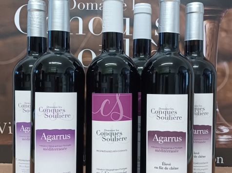 Domaine Les Conques Soulière - Foire aux vins Rouge 6 bouteilles panachées