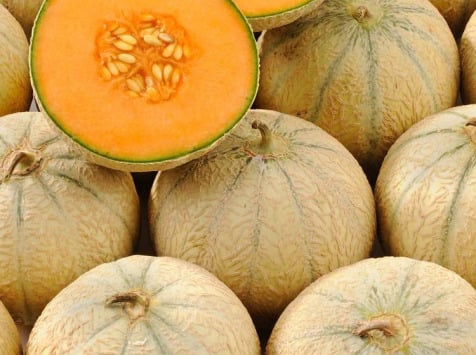 Le Potager de la Coccinelle - Melon charentais bio
