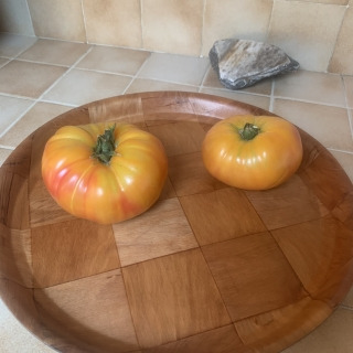 Ferme Cadillon - Tomates charnues Ananas - Pleine terre et HVE - 3 Kg