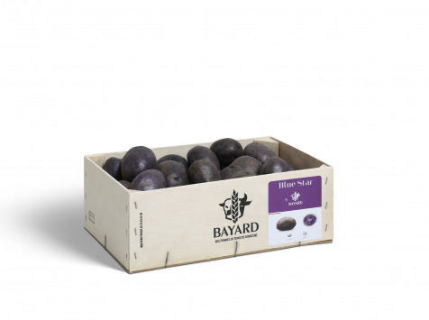 Maison Bayard - Pommes De Terre Blue Star - 3kg
