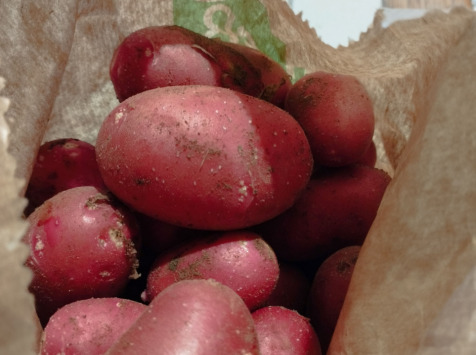 La Ferme de Milly - Anjou - Panier Bio Pommes de terre nouvelle - 10kg