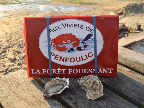 Aux Viviers de Penfoulic - Huîtres Creuses N°2 - 4 Douzaines