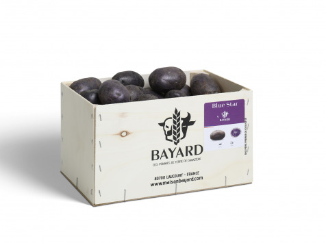 Maison Bayard - Pommes De Terre Blue Star - 5kg NOUVELLE RECOLTE