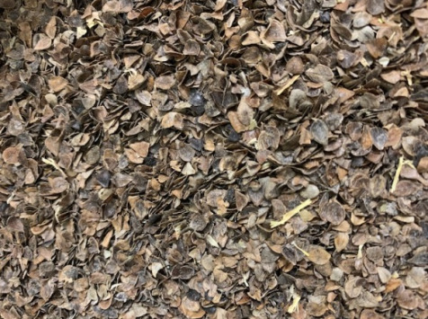 Adal Terra - Cosses de Céréales Bio pour Paillis ou coussin - 2.5 kg