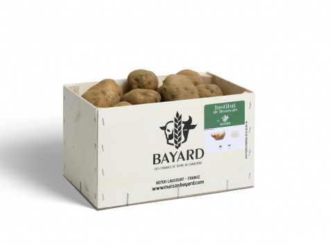 Maison Bayard - Pommes De Terre Institut De Beauvais - 5kg