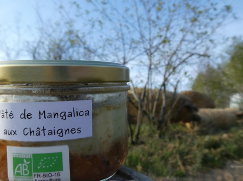 Terres En Vie - Pâté aux Châtaignes Bio de Mangalica