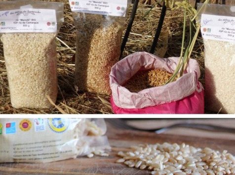 Les Délices du Scamandre - Riz Bio Complet "Manobi" IGP Riz de Camargue - 20kg