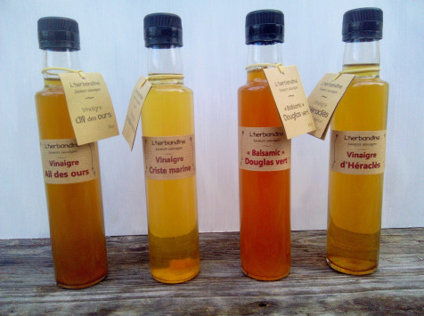 L'herbandine - Lot de 4 bouteilles de vinaigres sauvages