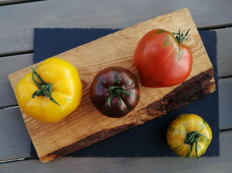 Ferme de Carcouet - Tomates Anciennes Bio - 1 kg