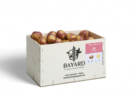 Maison Bayard - Pommes De Terre Miss Blush - 5kg