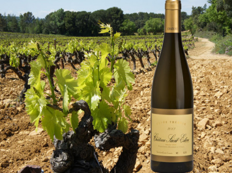 Château Saint Estève d'Uchaux - Cuvée Thérèse 2019 Blanc sec BIO - Vieilles Vignes de Viognier - AOP Côtes du Rhône Villages
