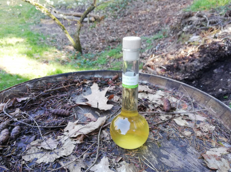 Vinaigres de la Carrière - Vinaigre de Cidre à la Verveine bio - 200 ml