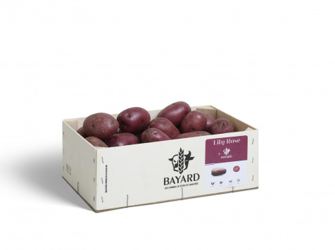 Maison Bayard - Pommes De Terre Lily Rose - 3kg