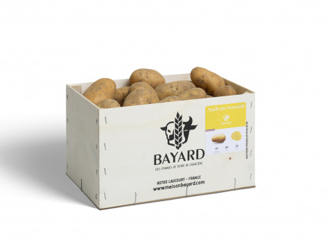 Maison Bayard - Pommes De Terre Andean Sunside - 5kg