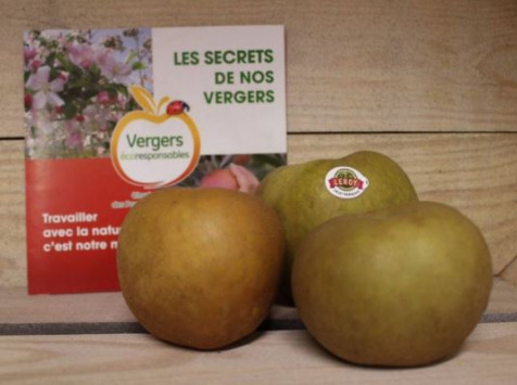 Le Châtaignier - Pommes Reinette Grise du Canada - 1kg