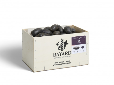 Maison Bayard - Pommes De Terre Violet Queen - 5kg