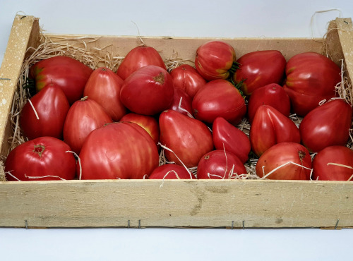 Langevine - Tomate Population Cuor Di Bue (cœur De Bœuf) 2kg