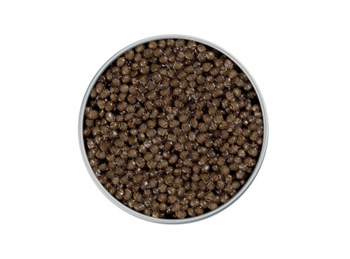 Caviar de Neuvic - Caviar Sélection Beluga 100g