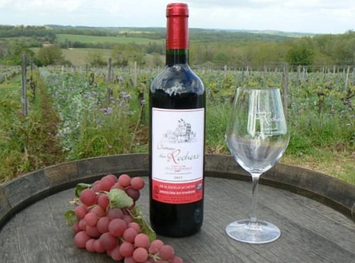 Château des Rochers - Vin rouge AOC Castillon-Côtes de Bordeaux 2017