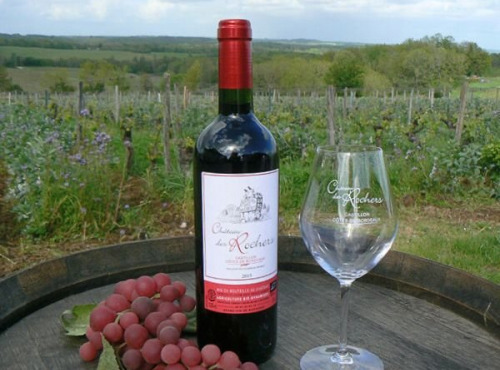 Château des Rochers - Vin rouge AOC Castillon-Côtes de Bordeaux 2015