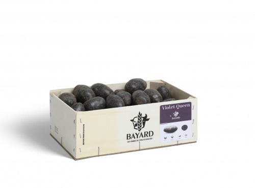 Maison Bayard - Pommes De Terre Violet Queen - 3kg