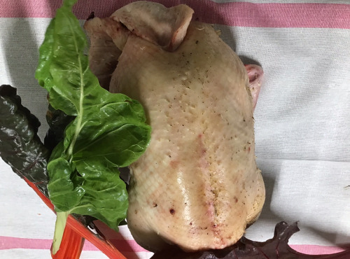 Des Poules et des Vignes à Bourgueil - Cane grasse éviscérée sans foie gras