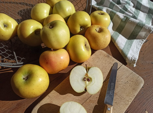 Le Verger de Crigne - Pommes Chantecler Bio (moyen Calibre) - 10kg