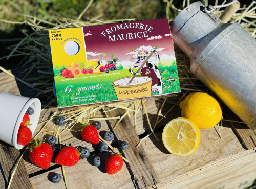 Fromagerie Maurice - Assortiment Yaourt brassé aux Fruits x6
