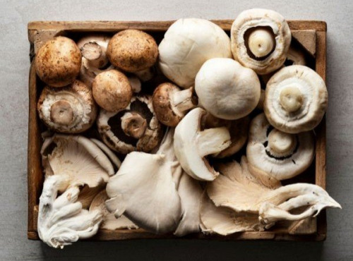 La Carrière du Bienheureux - Coffret champignons Pleurote, Shiitaké et Paris - 3x1kg