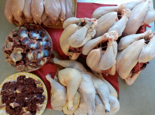 Les poulets de la Marquise - Colis Ecureuil XXL 100% poulet bio