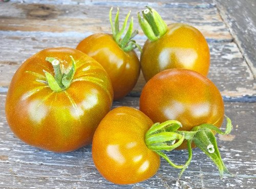 La Ferme de Milly - Anjou - Tomates noires de Crimée - 1kg