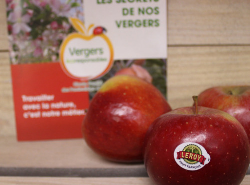 Le Châtaignier - Pommes Conversion Bio -  Assortiment 6kg